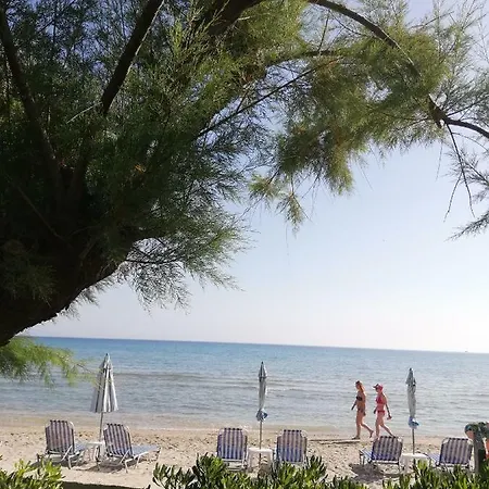 Lagounaris Beach 2* Alikes